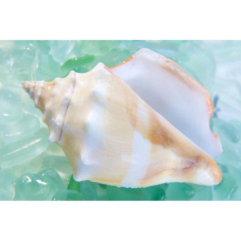 Crystal Cove - 28 White Modern Wood Framed Art Print by Blaustein, Alan