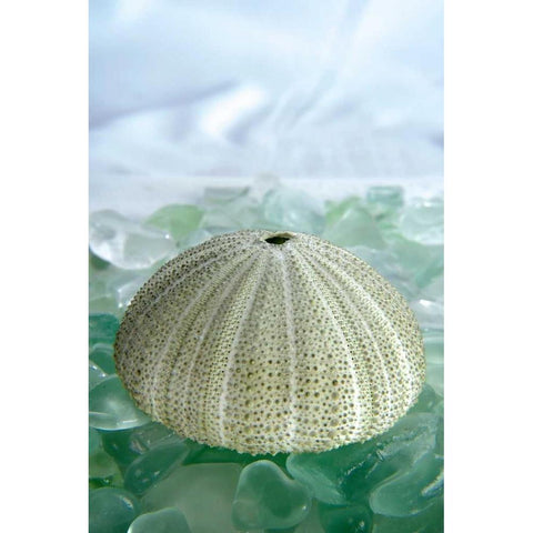 Crystal Harbor - 23 Black Modern Wood Framed Art Print with Double Matting by Blaustein, Alan