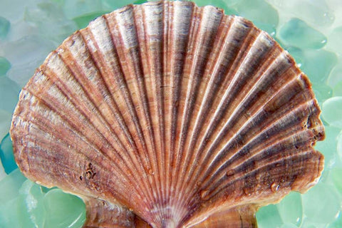 Crystal Harbor - 37 White Modern Wood Framed Art Print with Double Matting by Blaustein, Alan