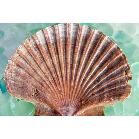 Crystal Harbor - 37 White Modern Wood Framed Art Print by Blaustein, Alan