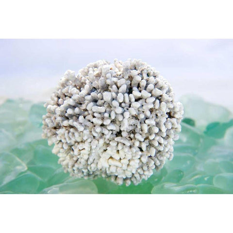 Crystal Harbor - 32 Black Modern Wood Framed Art Print with Double Matting by Blaustein, Alan