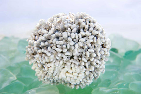 Crystal Harbor - 32 Black Ornate Wood Framed Art Print with Double Matting by Blaustein, Alan