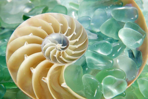 Crystal Harbor - 26 White Modern Wood Framed Art Print with Double Matting by Blaustein, Alan