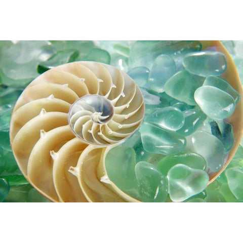 Crystal Harbor - 26 Gold Ornate Wood Framed Art Print with Double Matting by Blaustein, Alan