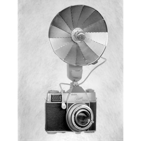 Retro Point and Shoot - 17 Black Modern Wood Framed Art Print by Blaustein, Alan