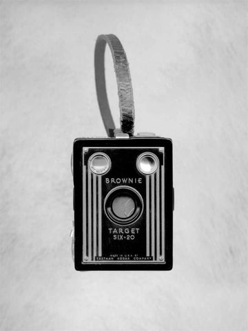 Retro Point and Shoot - 19 Black Ornate Wood Framed Art Print with Double Matting by Blaustein, Alan