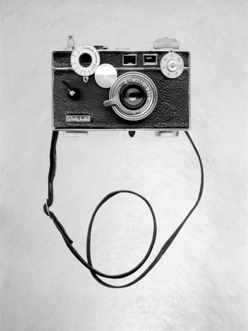 Retro Point and Shoot - 23 Black Ornate Wood Framed Art Print with Double Matting by Blaustein, Alan