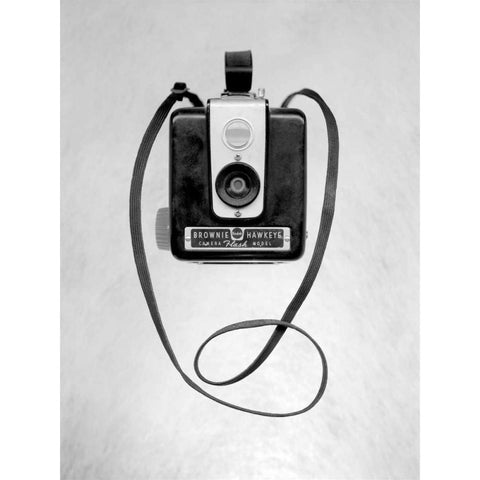 Retro Point and Shoot - 26 Gold Ornate Wood Framed Art Print with Double Matting by Blaustein, Alan