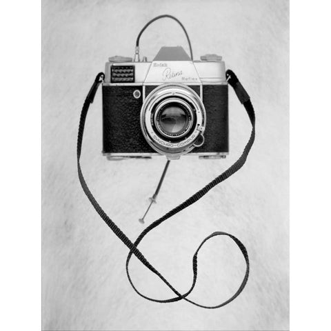 Retro Point and Shoot - 28 Gold Ornate Wood Framed Art Print with Double Matting by Blaustein, Alan