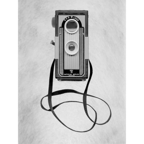 Retro Point and Shoot - 33 Gold Ornate Wood Framed Art Print with Double Matting by Blaustein, Alan