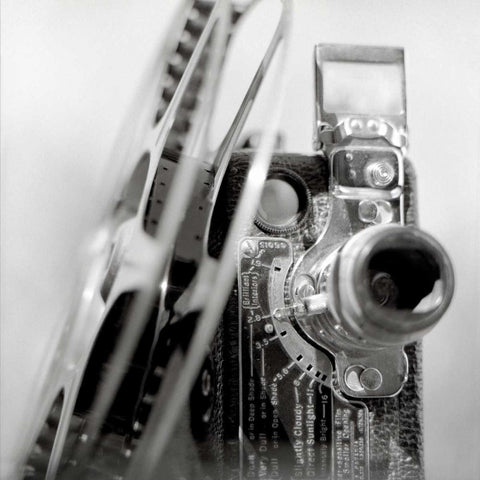 Retro Point and Shoot - 34 Gold Ornate Wood Framed Art Print with Double Matting by Blaustein, Alan