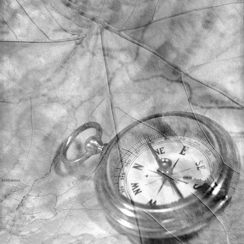 Retro- Compass Black Modern Wood Framed Art Print by Blaustein, Alan