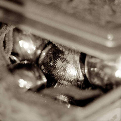 Holiday - 4 Gold Ornate Wood Framed Art Print with Double Matting by Blaustein, Alan