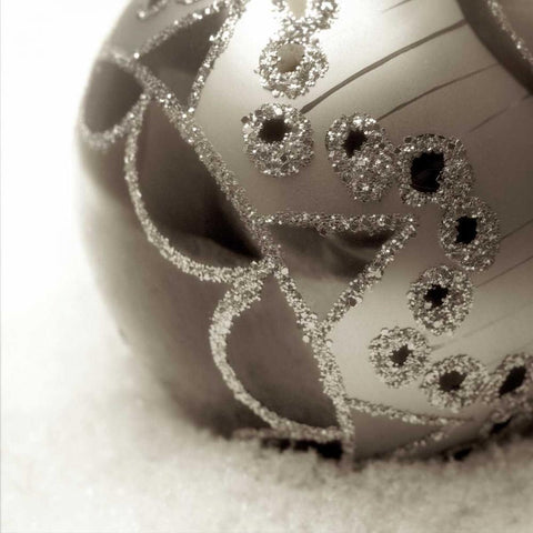 Holiday - 1 Black Modern Wood Framed Art Print with Double Matting by Blaustein, Alan