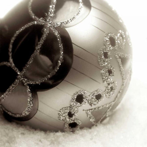 Holiday - 2 Black Modern Wood Framed Art Print by Blaustein, Alan