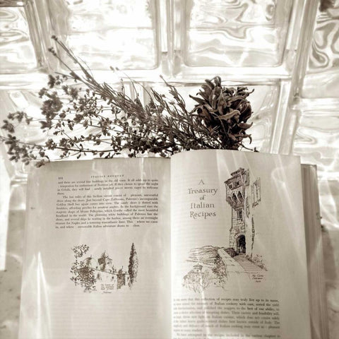 Holiday - 10 White Modern Wood Framed Art Print by Blaustein, Alan