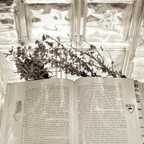 Holiday - 9 White Modern Wood Framed Art Print with Double Matting by Blaustein, Alan