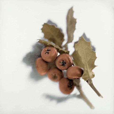 Holiday - 6 Black Modern Wood Framed Art Print with Double Matting by Blaustein, Alan