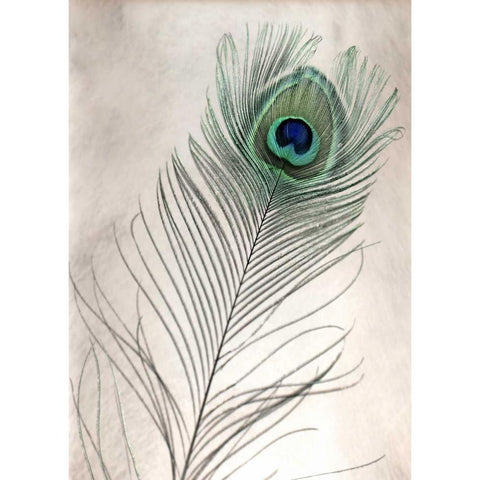 Feathers - 11 Black Modern Wood Framed Art Print by Blaustein, Alan