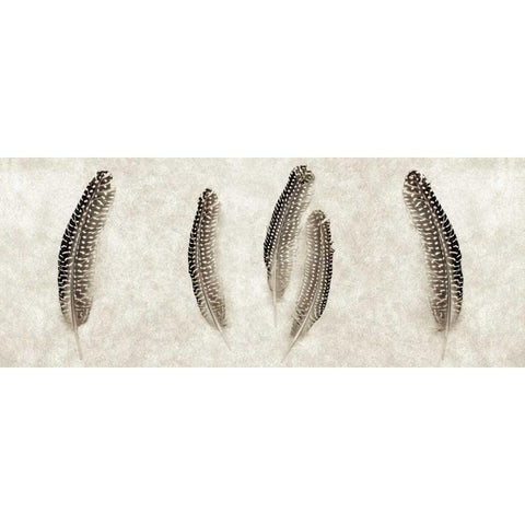 Feather Panel - 3 White Modern Wood Framed Art Print by Blaustein, Alan