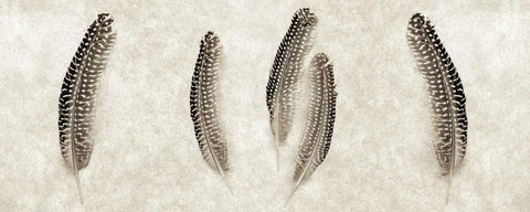 Feather Panel - 3 Black Ornate Wood Framed Art Print with Double Matting by Blaustein, Alan