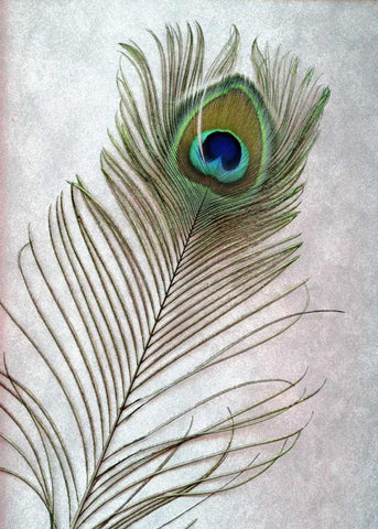 Hi Res White Modern Wood Framed Art Print with Double Matting by Blaustein, Alan