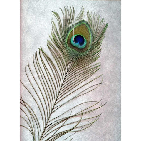 Hi Res Black Modern Wood Framed Art Print by Blaustein, Alan