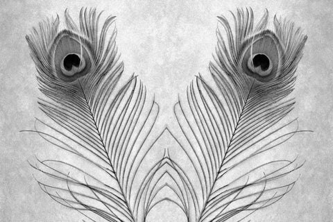 untitled White Modern Wood Framed Art Print with Double Matting by Blaustein, Alan