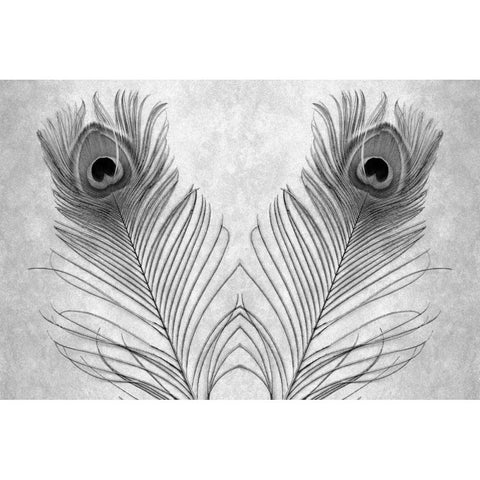 untitled White Modern Wood Framed Art Print by Blaustein, Alan