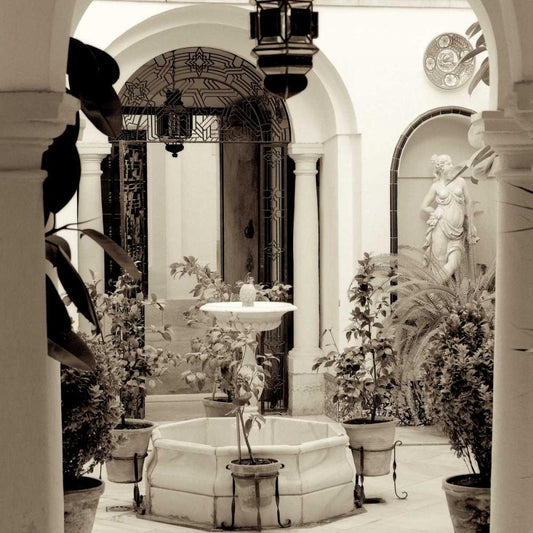 Image Only