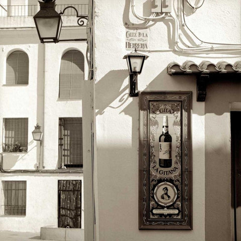 EspaÃƒÂ±a - 1 White Modern Wood Framed Art Print by Blaustein, Alan