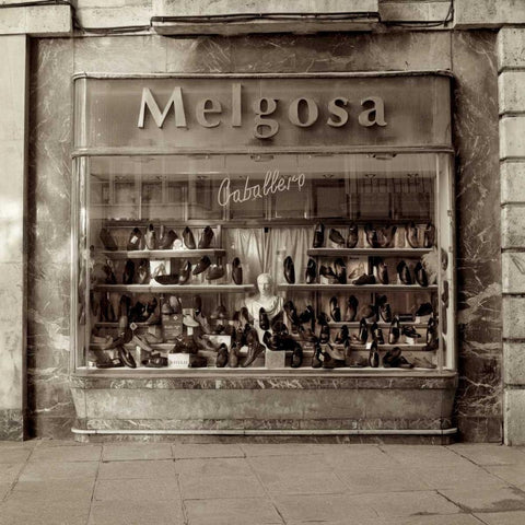 Burgos - 2 White Modern Wood Framed Art Print by Blaustein, Alan