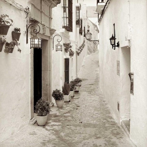 EspaÃƒÂ±a - 3 White Modern Wood Framed Art Print by Blaustein, Alan