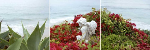 Laguna Coast - 3 White Modern Wood Framed Art Print with Double Matting by Blaustein, Alan