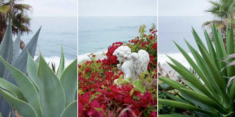 Laguna Coast - 1 White Modern Wood Framed Art Print with Double Matting by Blaustein, Alan