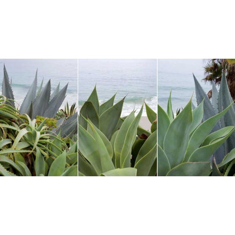 Laguna Coast - 2 White Modern Wood Framed Art Print by Blaustein, Alan