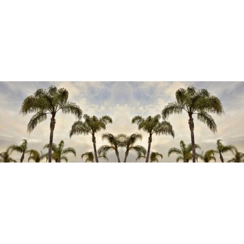 Palm Banner - 1 - Color Gold Ornate Wood Framed Art Print with Double Matting by Blaustein, Alan