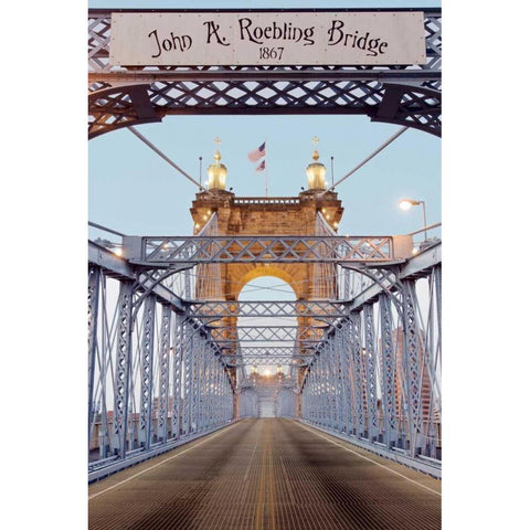 Spirit Gold Ornate Wood Framed Art Print with Double Matting by Blaustein, Alan