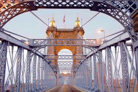 untitled Black Ornate Wood Framed Art Print with Double Matting by Blaustein, Alan