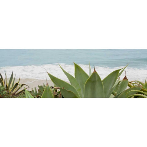 untitled Black Modern Wood Framed Art Print by Blaustein, Alan