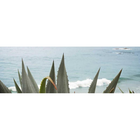 Spirit 2015 Black Modern Wood Framed Art Print by Blaustein, Alan