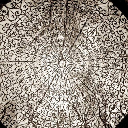Image Only