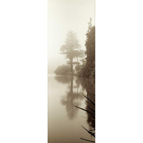 Lakeside Tree - 2 Gold Ornate Wood Framed Art Print with Double Matting by Blaustein, Alan