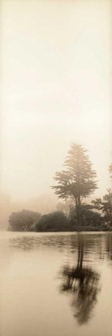 Lakeside Tree - 1 White Modern Wood Framed Art Print with Double Matting by Blaustein, Alan