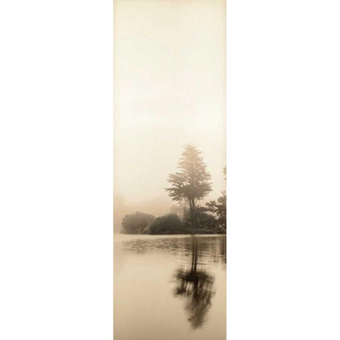 Lakeside Tree - 1 Gold Ornate Wood Framed Art Print with Double Matting by Blaustein, Alan