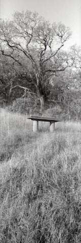 Novato Oak Black Ornate Wood Framed Art Print with Double Matting by Blaustein, Alan