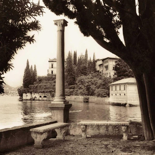 Image Only