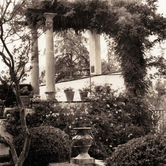 Image Only