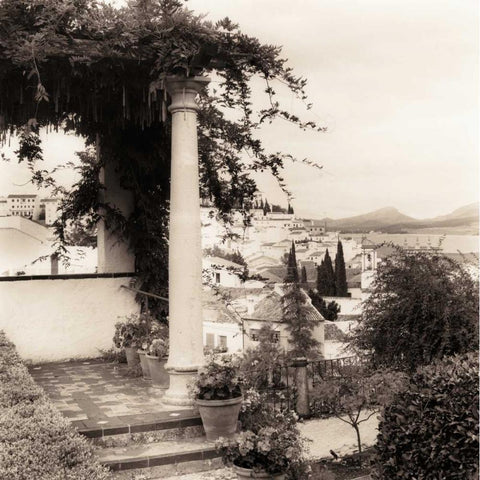 Jardin del Rey Moro White Modern Wood Framed Art Print by Blaustein, Alan