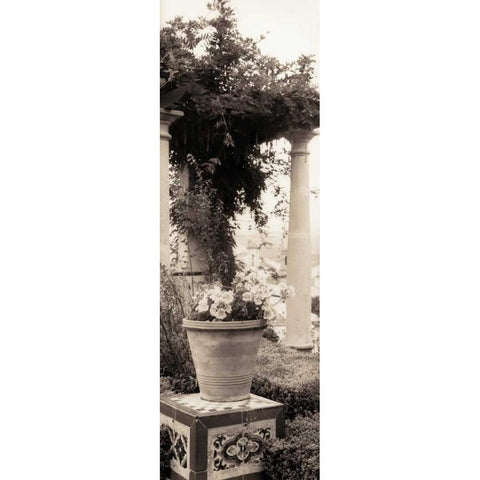 Jardin Botanico White Modern Wood Framed Art Print by Blaustein, Alan